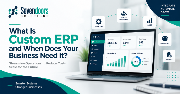 What Is Custom ERP and When Does Your Business Need It?